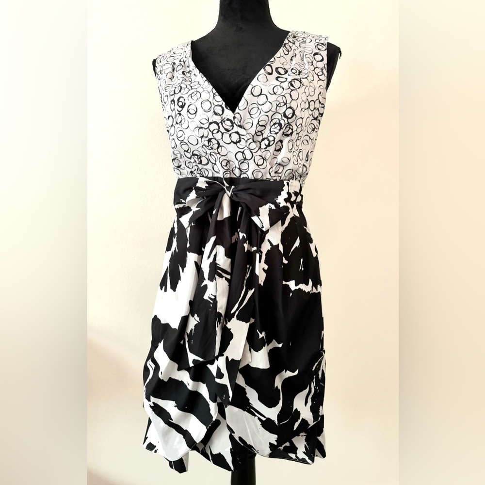 Banana Republic Black and White Dress